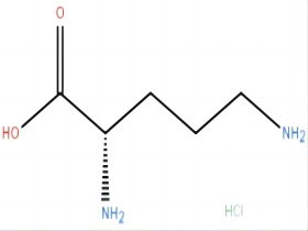 L-鳥氨酸鹽酸鹽 L-ornithine hydrochloride 3184-13-2
