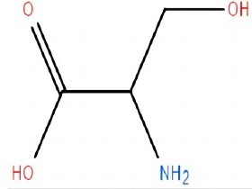 DL-絲氨酸 DL-serine 302-84-1
