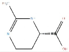 四氫嘧啶 ECTOINE 96702-03-3